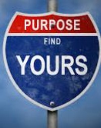 Picture for Discover Your Purpose & Passion Reading package